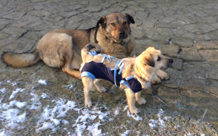 Zbiórka Mniej niechcianych... - zdjęcie główne