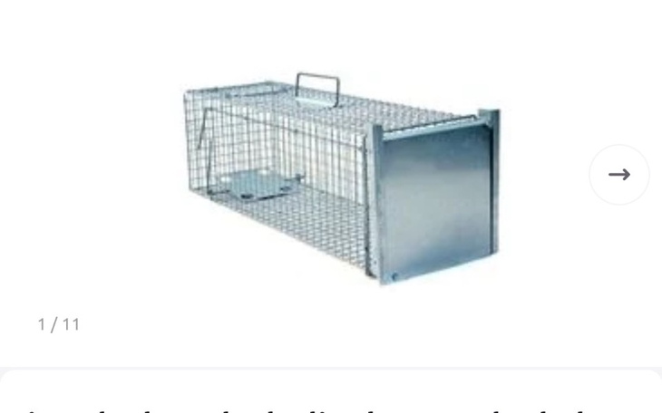 Pułapka na zwierzęta, metalowa, z otwartą klapą.