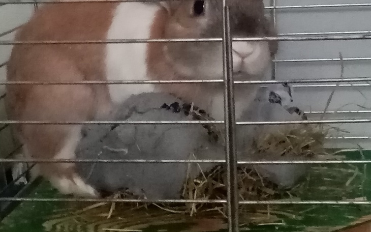 Zbiórka Zmiana na lepsze - zdjęcie główne