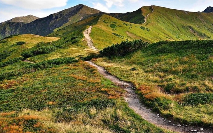 Zbiórka Walczymy z Depresją . Pomóż - zdjęcie główne