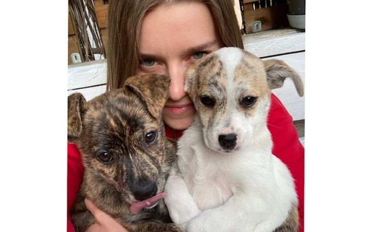 Zbiórka Na studia psiego behawiorysty - zdjęcie główne