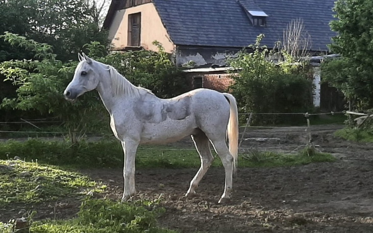 Zbiórka Zbieram na przyjaciela - zdjęcie główne