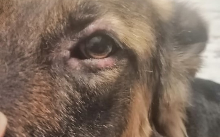 Zbiórka Luna - walka ostatniej szansy - zdjęcie główne