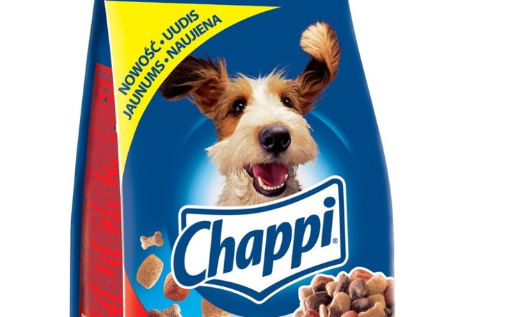 Zbiórka Na karmę dla psa. - zdjęcie główne