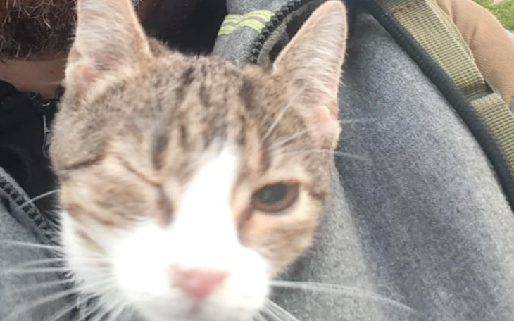 Zbiórka Razem dla Zwierząt Akcja Szakira - zdjęcie główne