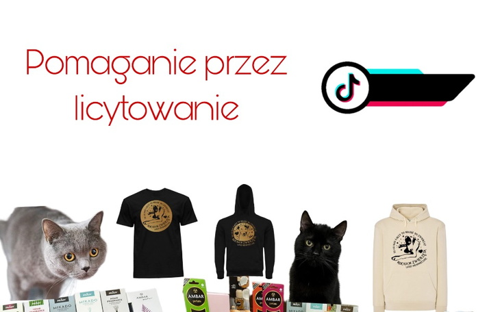 Zbiórka Pomaganie przez licytowanie - zdjęcie główne