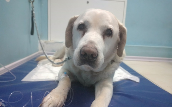 Zbiórka Starość i bezdomność - zdjęcie główne