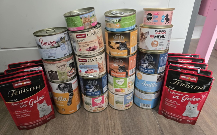 Zestaw karmy dla kotów, różne rodzaje puszek i saszetek.