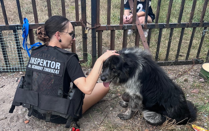 Zbiórka Miejsce dla ratowanych zwierząt - zdjęcie główne