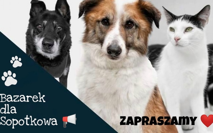 Zbiórka Bazarek dla Sopotkowa - zdjęcie główne