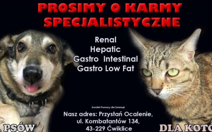 Zbiórka Grosik na karmy specjalistyczne - zdjęcie główne