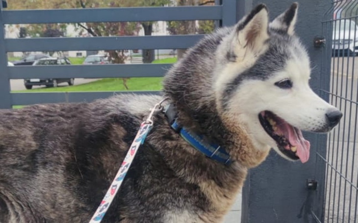 Zbiórka Operacja i badania Aldonki - zdjęcie główne