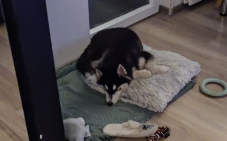 Zbiórka Na lepszy start Lilo - zdjęcie główne