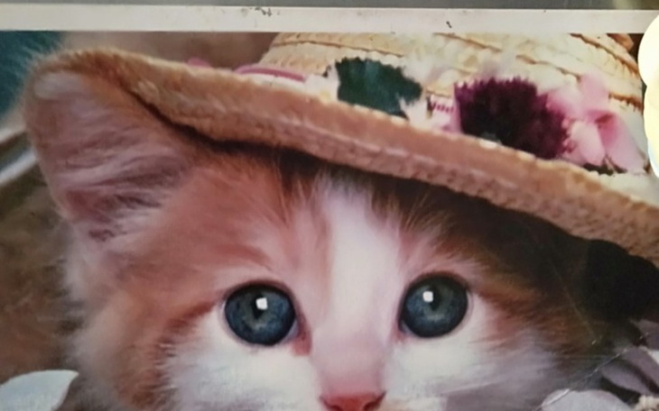 Zbiórka Pomóż w trudnej sytuacji - zdjęcie główne