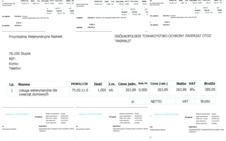 Zbiórka Prosimy o pomoc w spłacie fv wet - zdjęcie główne