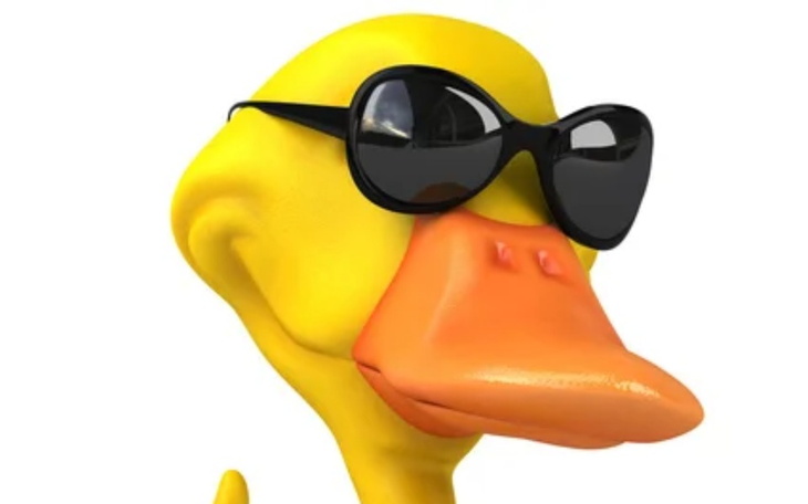 Zbiórka zbiórka na operację ust kaczuchy - zdjęcie główne