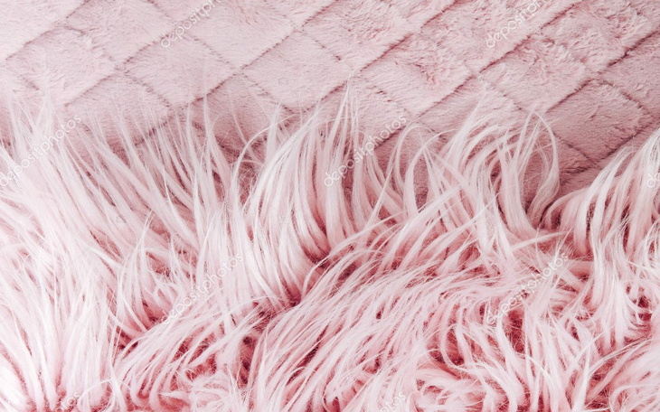 Zbiórka Nowy start. Nowe życie - zdjęcie główne