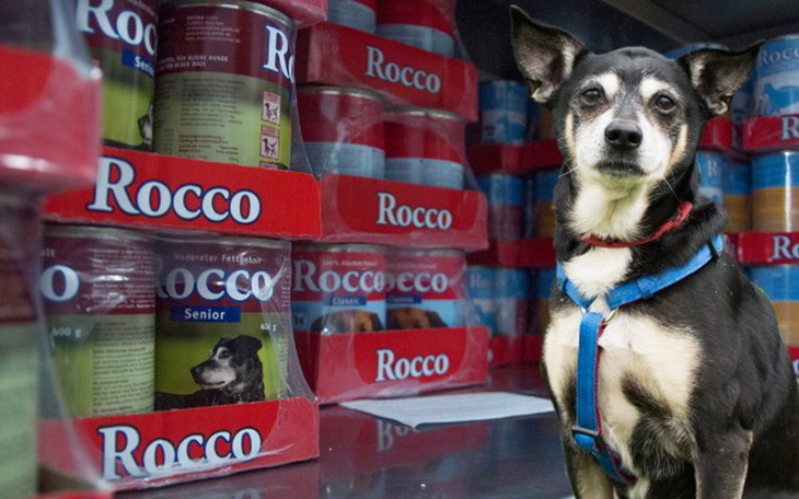 Zbiórka Puszka dla staruszka - grudzień - zdjęcie główne