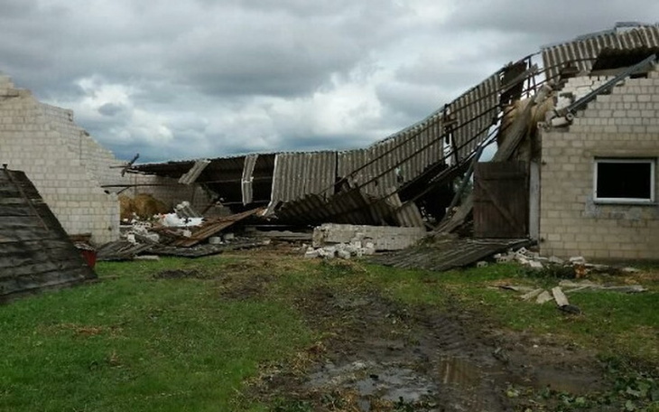Zbiórka Pomoc dla Sośna - zdjęcie główne