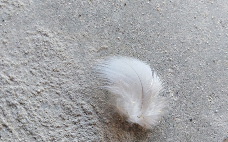 Zbiórka Naprawa auta i wyjazd - zdjęcie główne