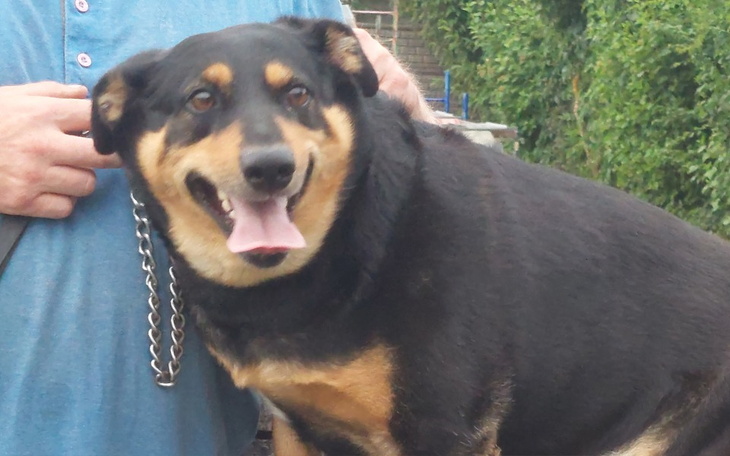 Zbiórka Dla Zosi pana Antoniego - zdjęcie główne