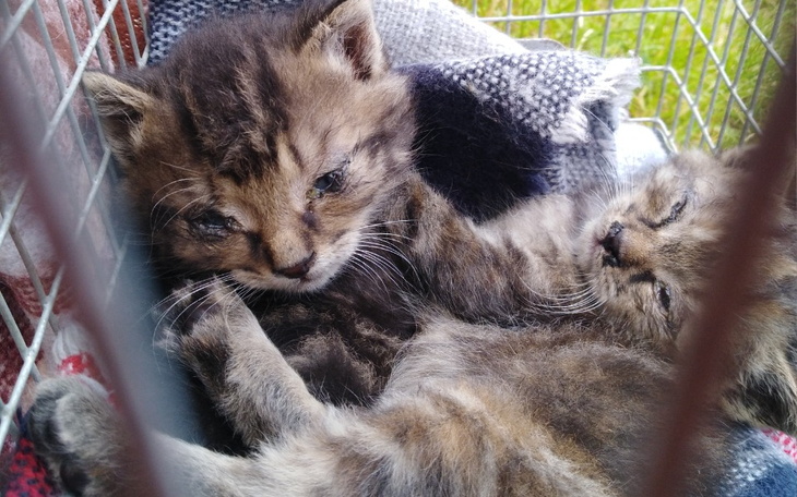 Zbiórka By móc codziennie pomagać - zdjęcie główne