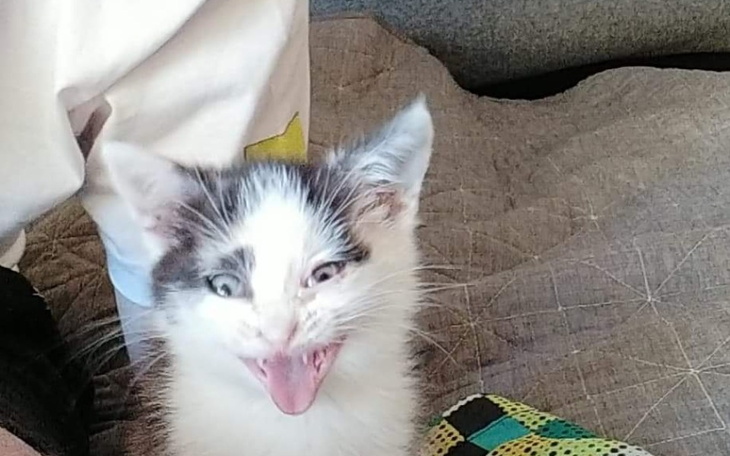 Zbiórka Żeby się od mamy wyprowadzić - zdjęcie główne