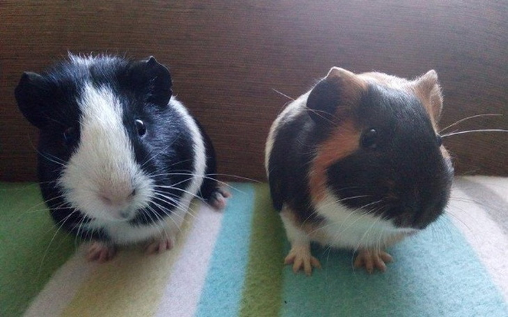 Zbiórka Na nowy start ! - zdjęcie główne