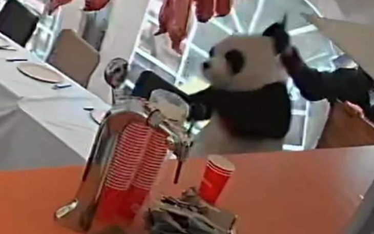 Zbiórka Panda z Zapiekanki u Pandy - zdjęcie główne