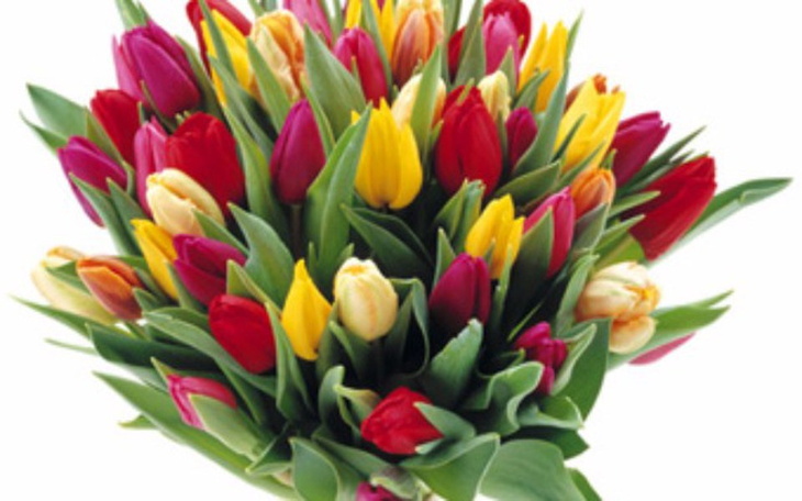 Zbiórka Wsparcie upadajacej firmy Mamy - zdjęcie główne