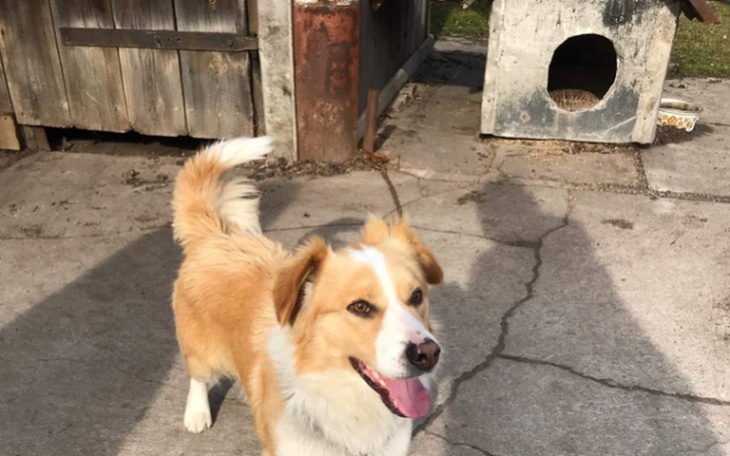 Zbiórka Odpiąć łańcuch raz na zawsze - zdjęcie główne