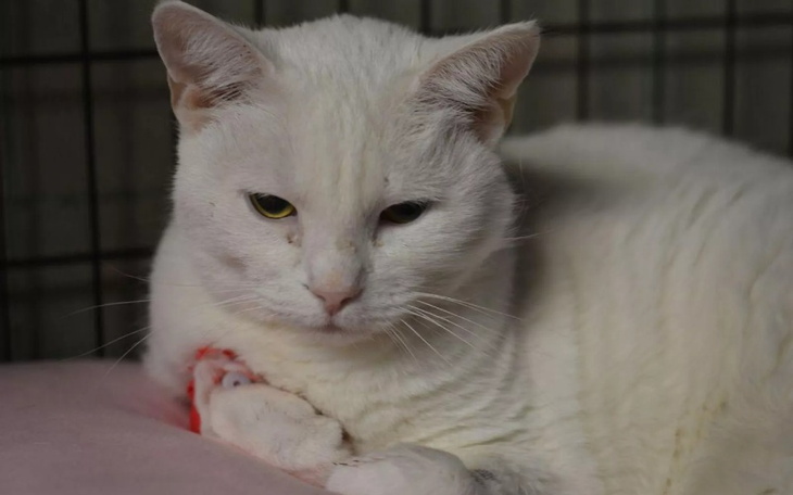 Zbiórka Panienka chce żyć - zdjęcie główne