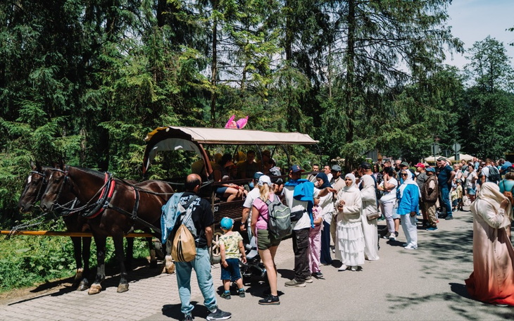 Zbiórka Posezonowe badania koni z MOka - zdjęcie główne