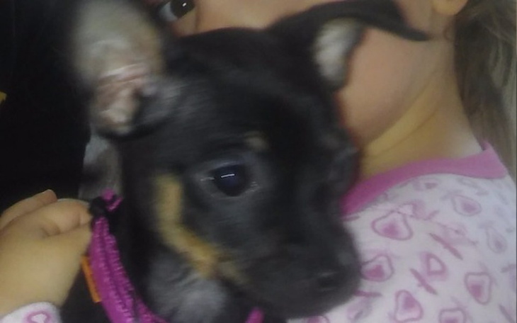 Zbiórka Na karmę dla Tosi!!! - zdjęcie główne