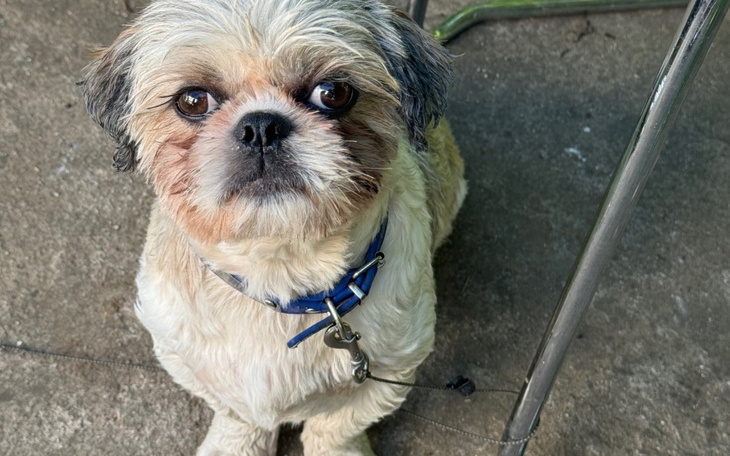 Zbiórka Operację złamanej miednicy - zdjęcie główne