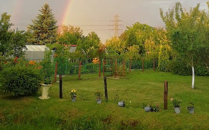 Zbiórka Na nowy wodociąg dla Rod Jaśmin - zdjęcie główne