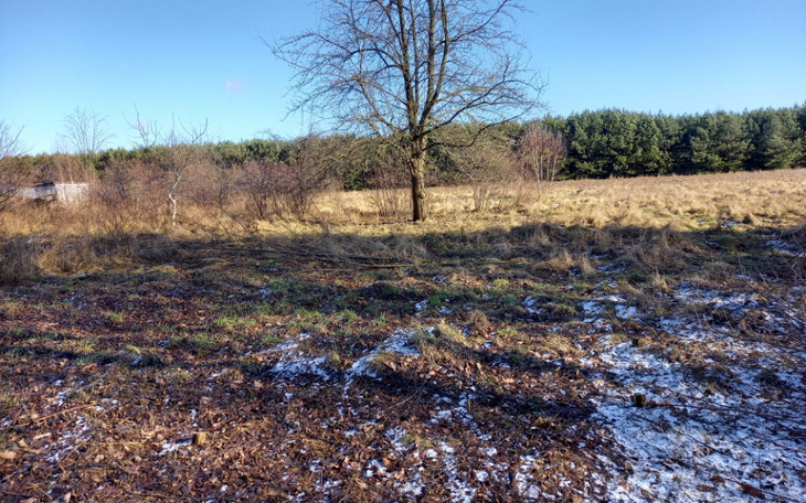 Zbiórka Pomoc budowa domu - zdjęcie główne