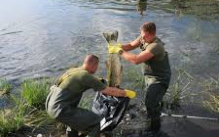 Zbiórka Ratowanie Odry po zatruciu - zdjęcie główne