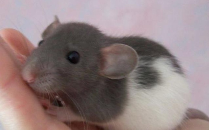 Zbiórka Rachunki nie stać mnie - zdjęcie główne