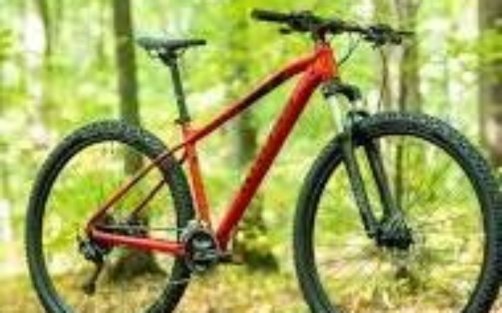 Czerwony rower górski na tle zielonego lasu.