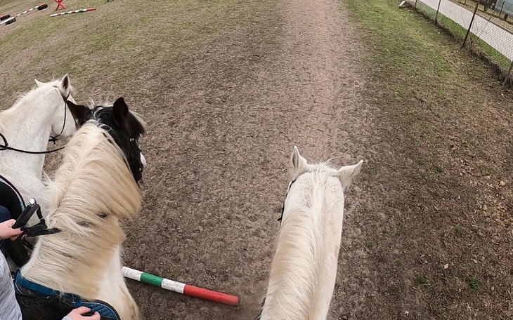Zbiórka Nauka jazdy konno na YT - zdjęcie główne