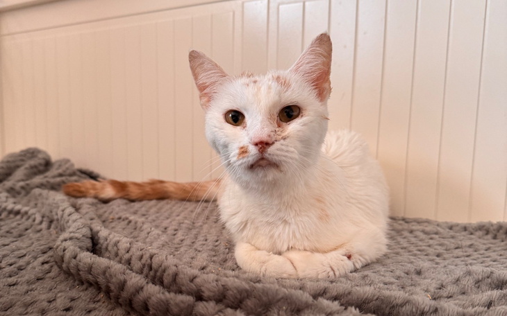 Obrazek promujący projekt na rzecz ochrony środowiska.