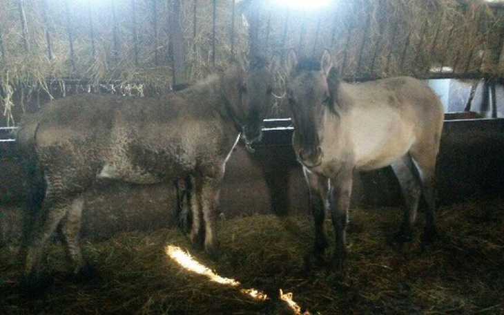 Zbiórka Mamy 3 dni żeby ocalić mu życie - zdjęcie główne