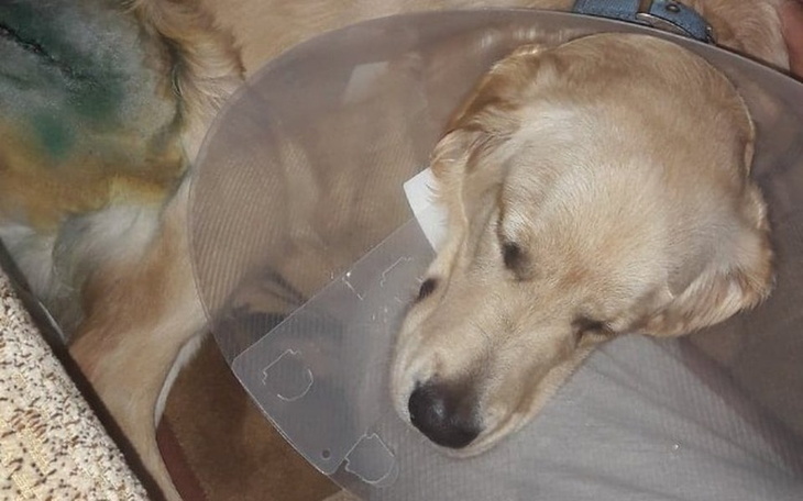 Zbiórka Zbiórka na operacje dla RIKO - zdjęcie główne