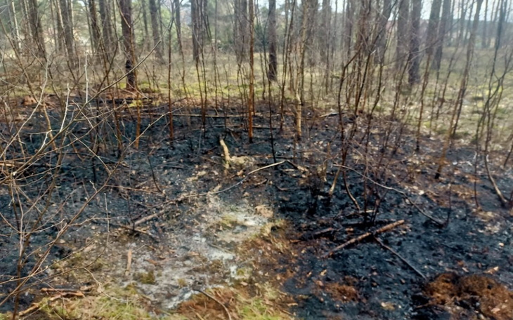 Zbiórka Sprzęt dla druhów z OSP Olpuch - zdjęcie główne
