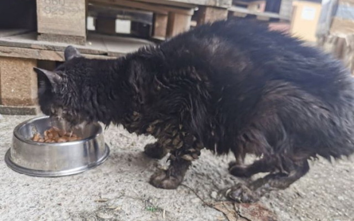 Zbiórka Pomoc dla Bodzia - zdjęcie główne