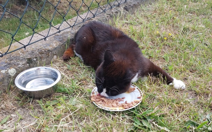 Zbiórka Konieczny rezonans - zdjęcie główne