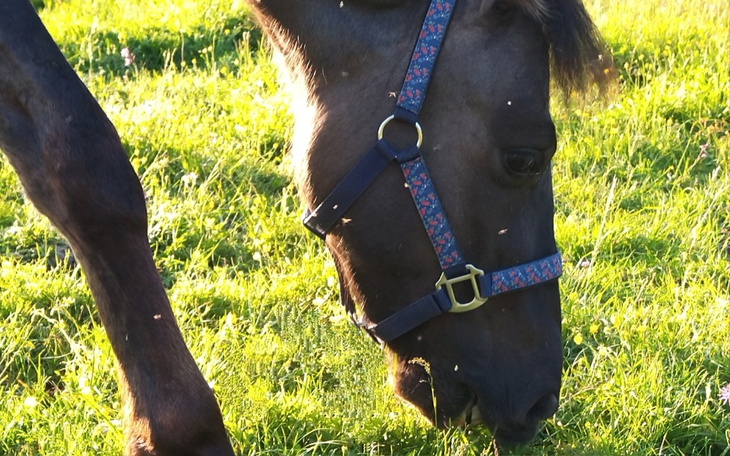 Zbiórka Czysty oddech dla przyjaciółki - zdjęcie główne