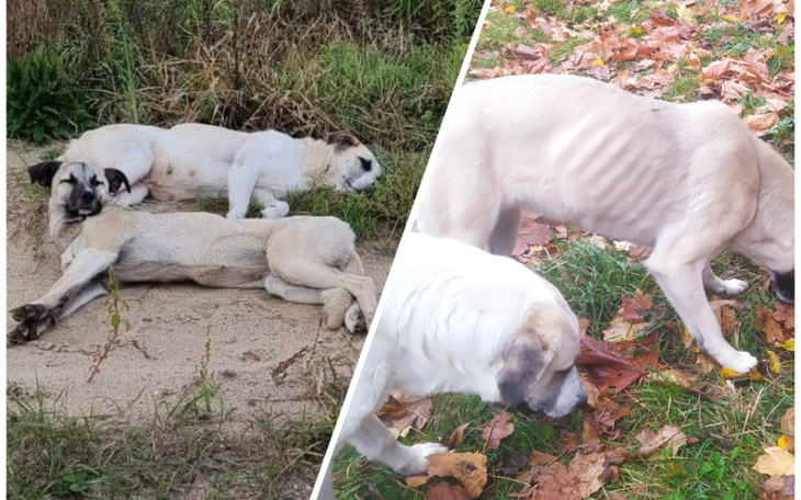 Zbiórka Mamy ulicę, mamy tylko siebie. - zdjęcie główne