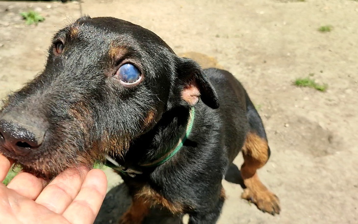 Zbiórka Bił i patrzył czy równo puchnie - zdjęcie główne